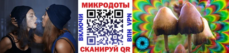 Псилоцибиновые грибы MAGIC MUSHROOMS где купить наркоту Энгельс
